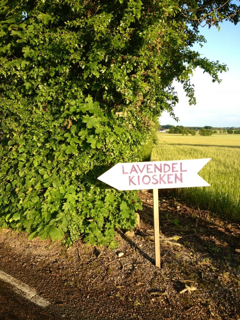 Lavendelkiost utanför Skillinge
